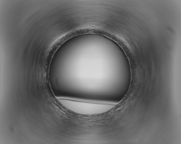 X0000111370872200907101015
