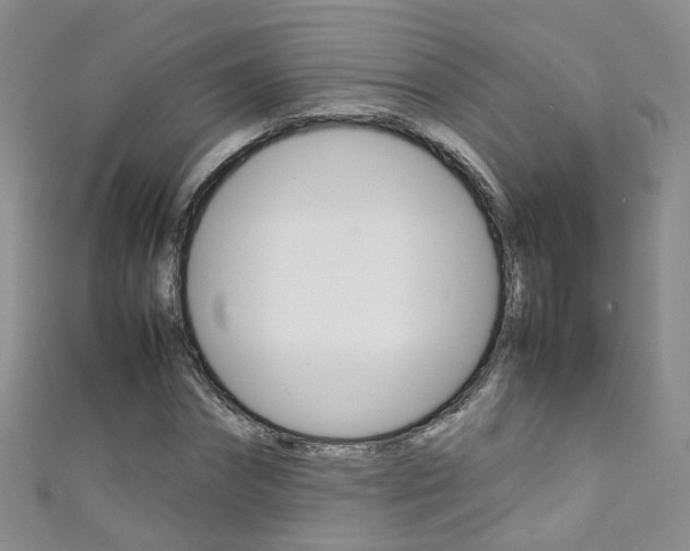X0000111370874200907101015