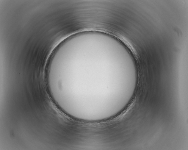 X0000111370876200907101015