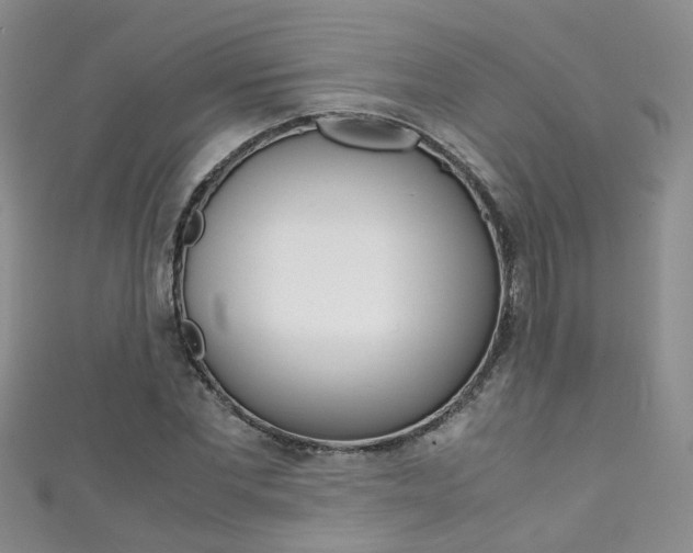 X0000111370877200907101015