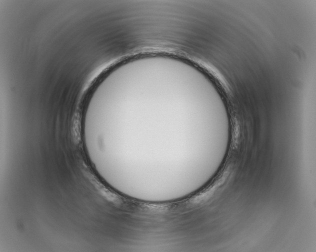 X0000111370878200907101015