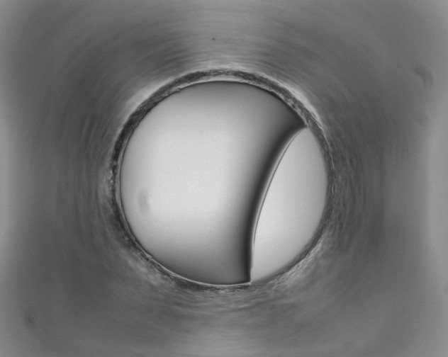 X0000111370879200907101015