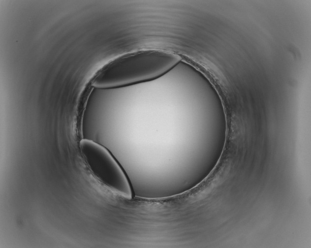 X0000111370880200907101015