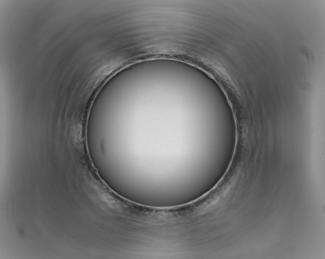 X0000111370881200907101015