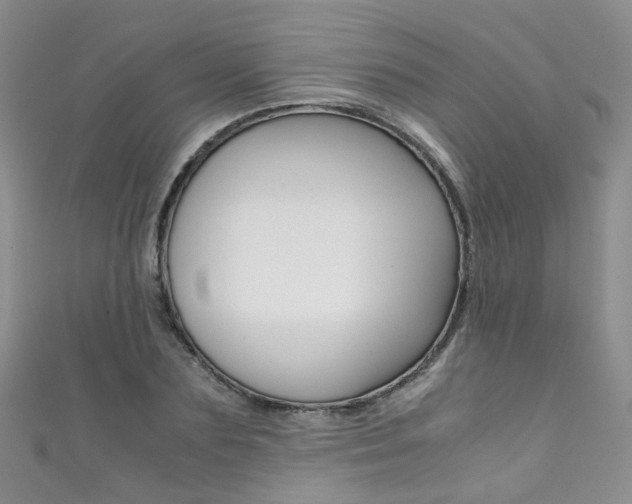 X0000111370883200907101015