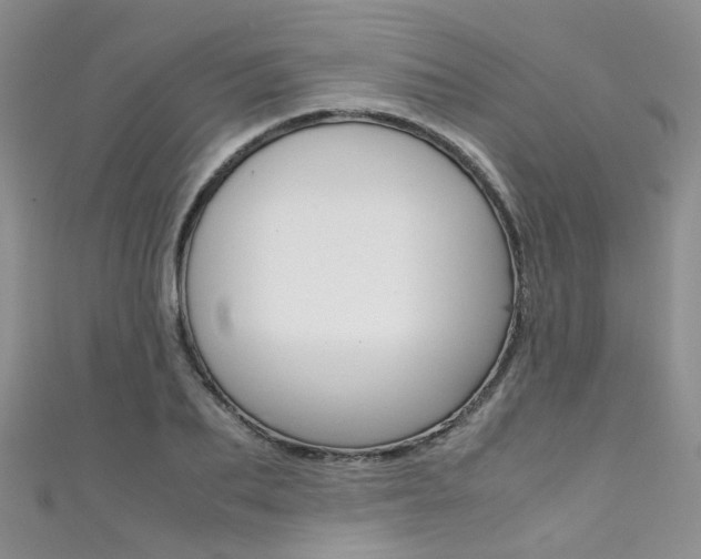 X0000111370887200907101015