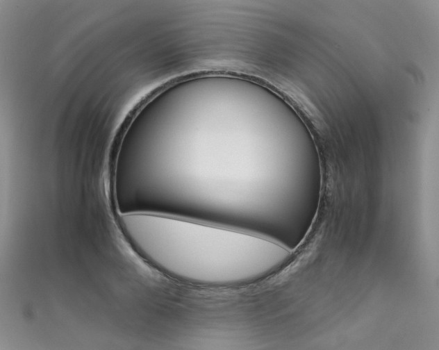 X0000111370888200907101015