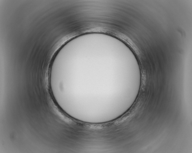 X0000111370890200907101015