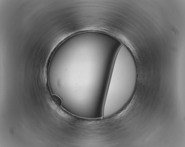 X0000111370892200907101014
