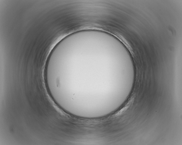 X0000111370893200907101014