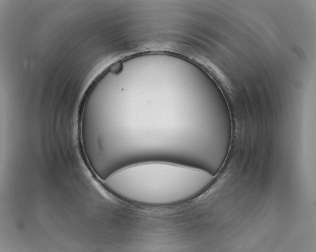 X0000111370894200907101014