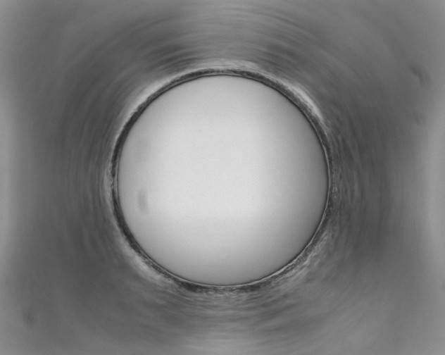 X0000111370895200907101014