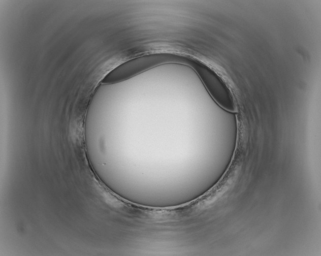 X0000111370897200907101014