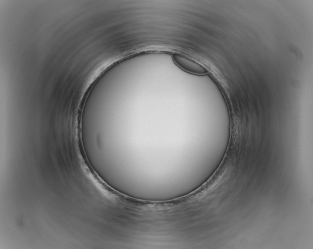 X0000111370898200907101014