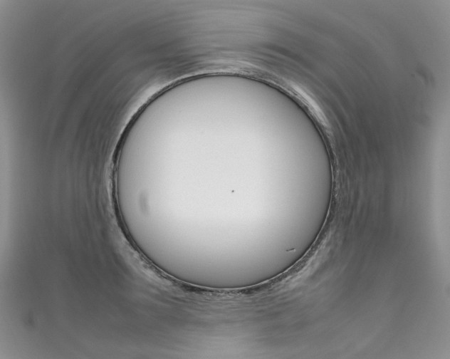 X0000111370899200907101014