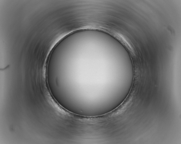 X0000111370900200907101014