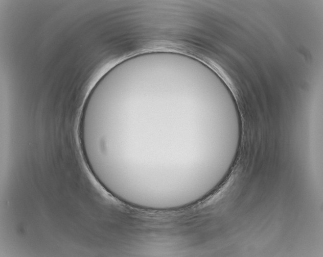 X0000111370901200907101014