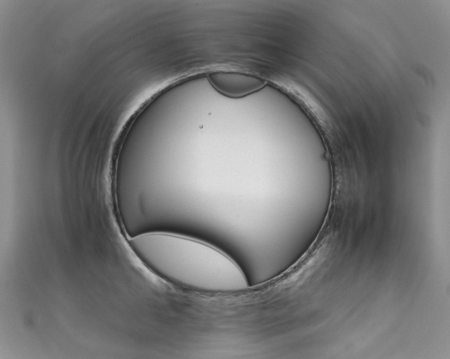 X0000111370902200907101014