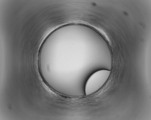 X0000111370903200907101014