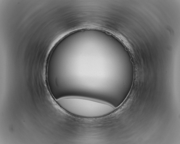 X0000111370904200907101014