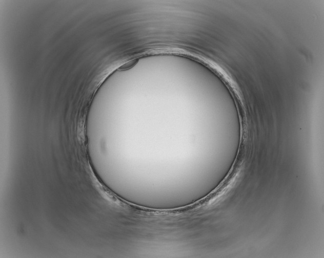 X0000111370905200907101014