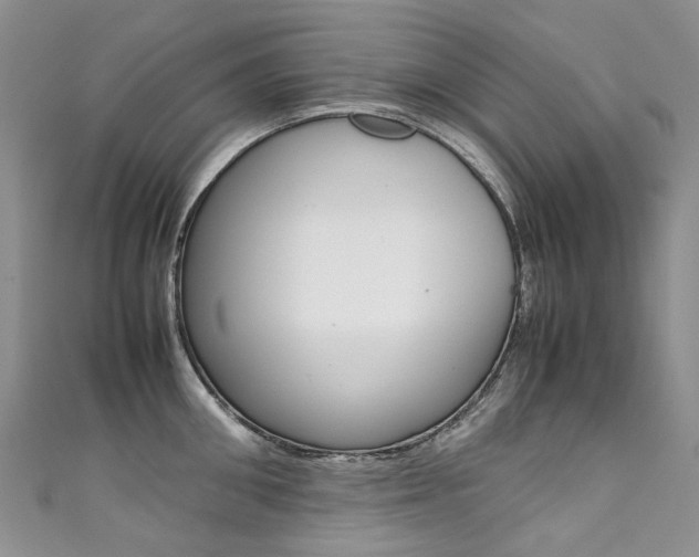 X0000111370906200907101014