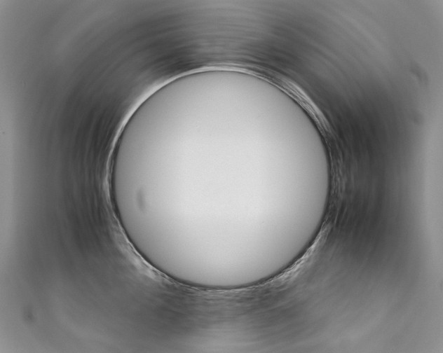 X0000111370908200907101014