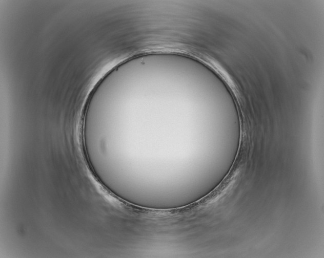 X0000111370909200907101014