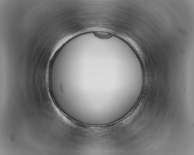 X0000111370910200907101014