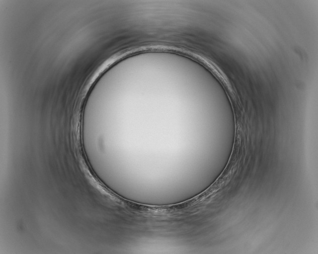 X0000111370911200907101014