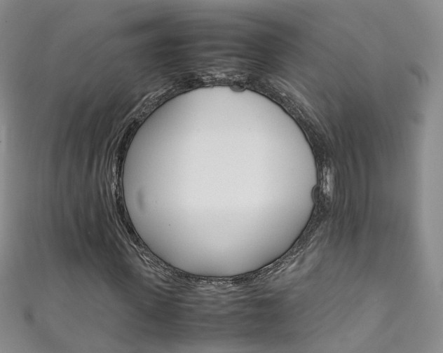 X0000111370915200907101014