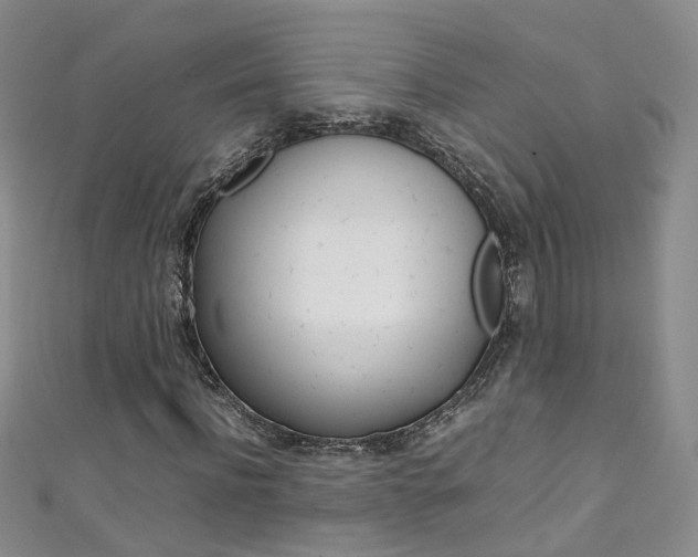 X0000111370916200907101014