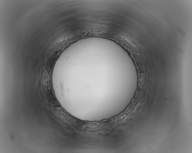 X0000111370917200907101014