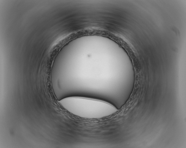 X0000111370919200907101014