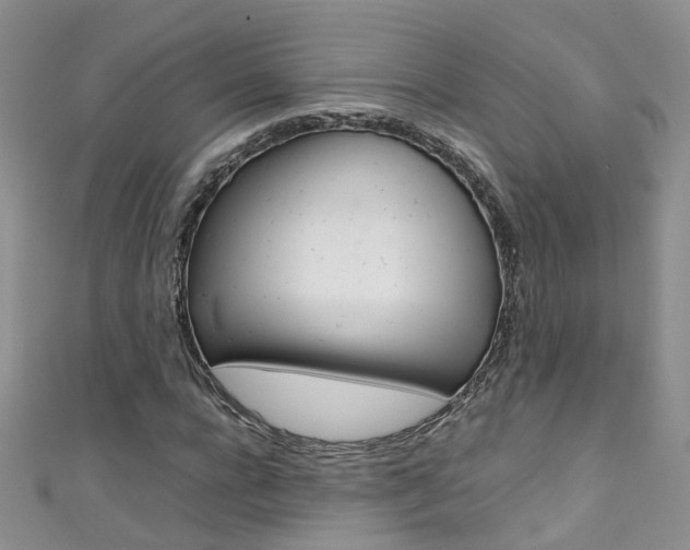X0000111370920200907101014