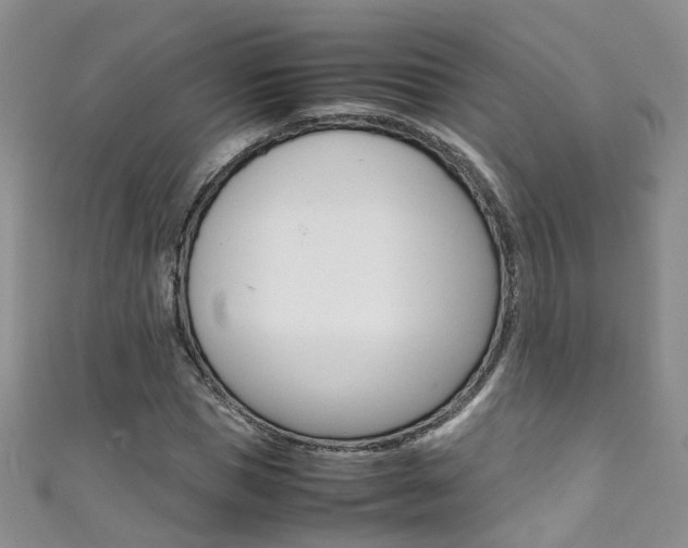 X0000111370921200907101014