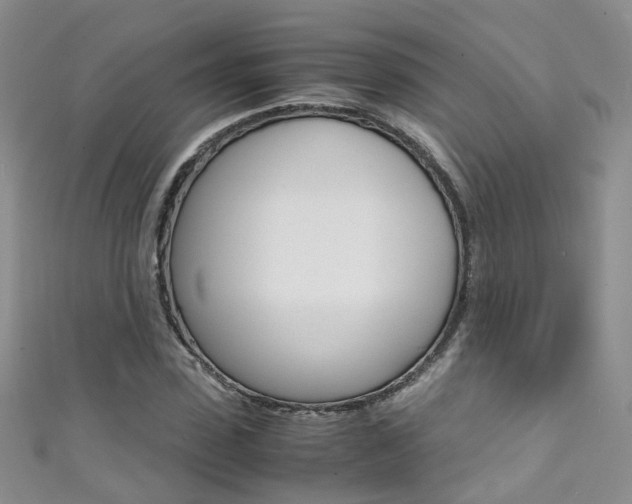 X0000111370923200907101014