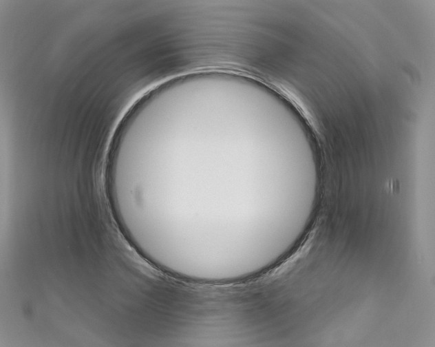 X0000111370924200907101014