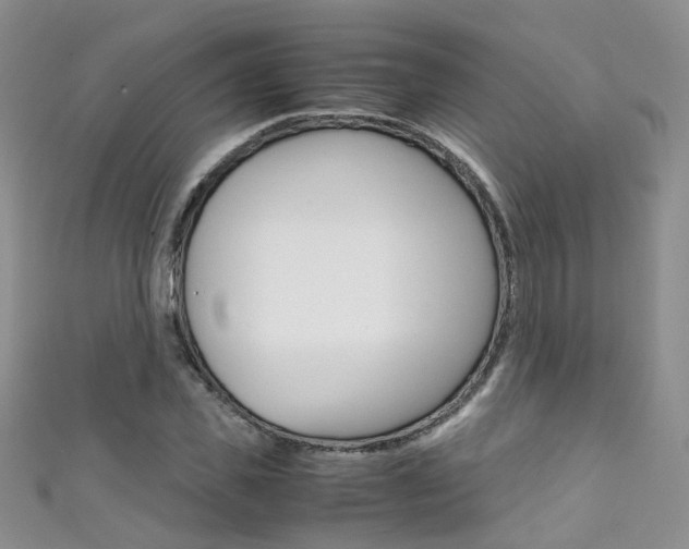 X0000111370925200907101014