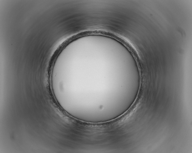 X0000111370927200907101014