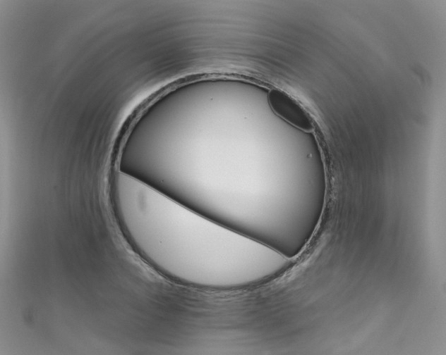 X0000111370928200907101014