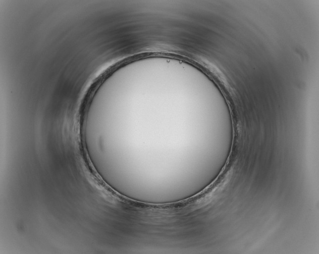 X0000111370931200907101014