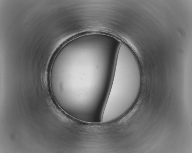 X0000111370932200907101014