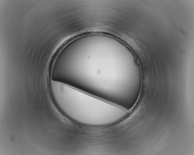 X0000111370934200907101014