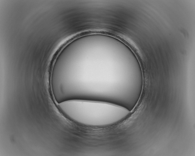 X0000111370935200907101014