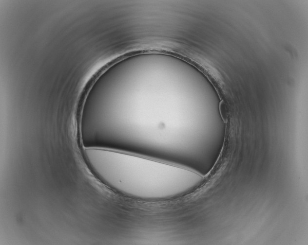 X0000111370936200907101014