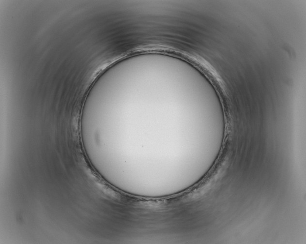 X0000111370937200907101014