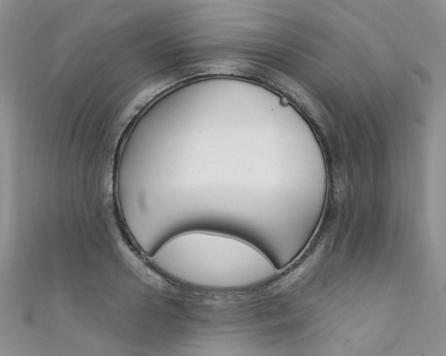 X0000111370938200907101014