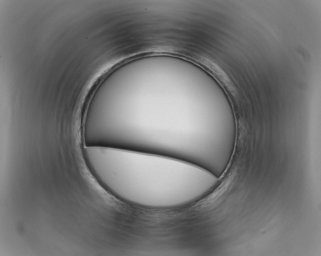 X0000111370939200907101014