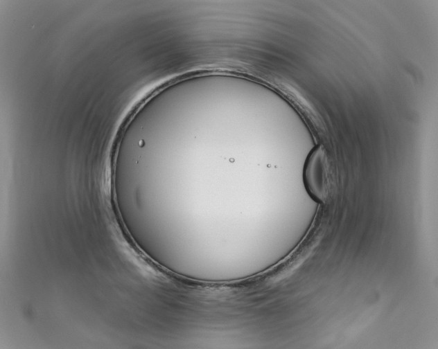 X0000111370940200907101014